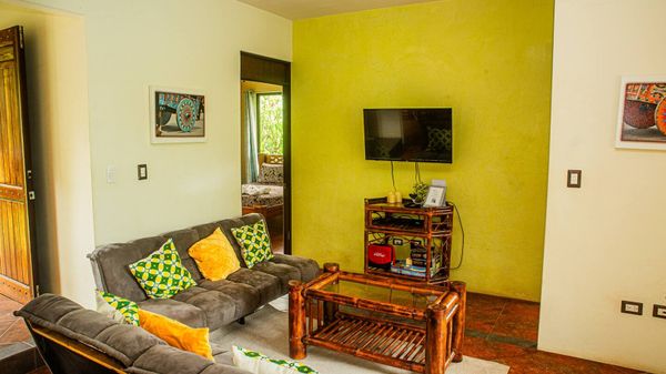 spacious living room features a smart TV, creating the ideal space for enjoying movies, shows, and streaming content with ease