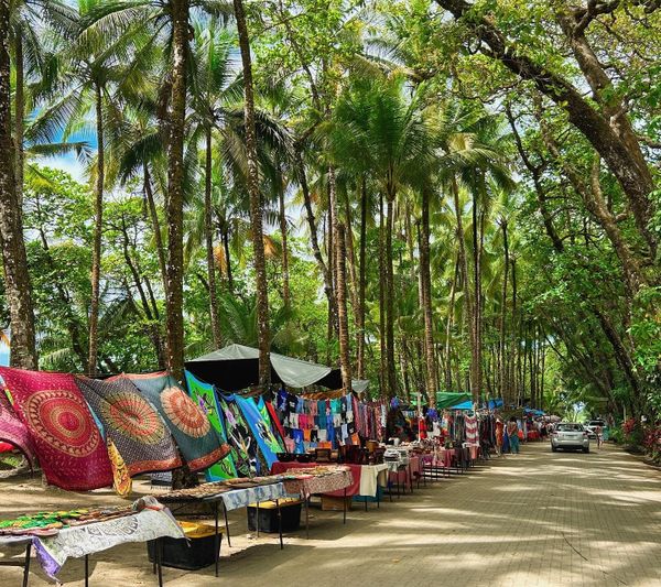 Dominical beach is ~30 minutes north.