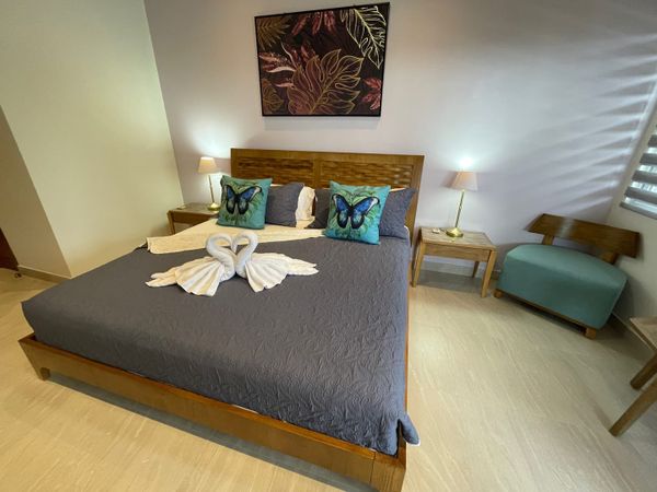 Amazing owner's suite with a king bed, AC and ceiling fan.
