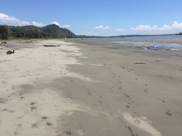 Playa Tortuga is about 5-7 minutes away.