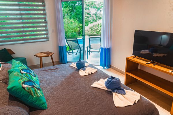 Owner's Suite has a king-size bed, 42-inch SmartTV, A/C, access to the patio and the pool and en-suite bathroom.