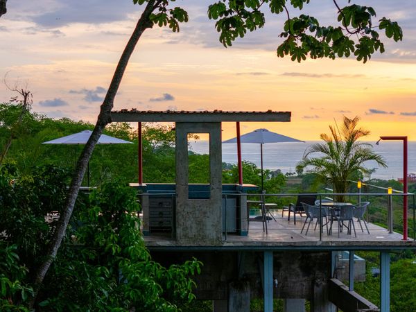 dreamy sanctuary, tucked away in nature’s beauty, with abundant plants and trees.