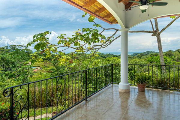 breathtaking view of the sea, framed by lush green surroundings.