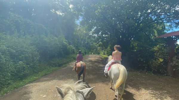 Horse back ridding tours are available in Ojochal   - you can either visit the waterfall or rid to towards the sunset at the beach