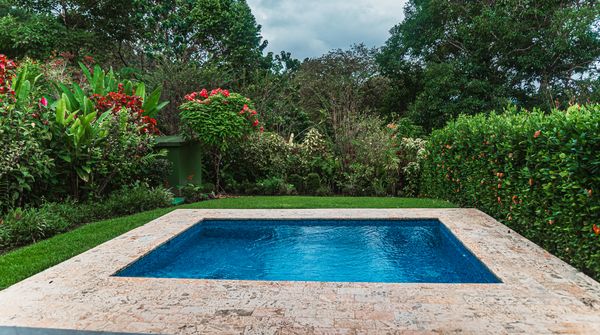 Beautifully landscaped garden with vibrant flowers and trees.