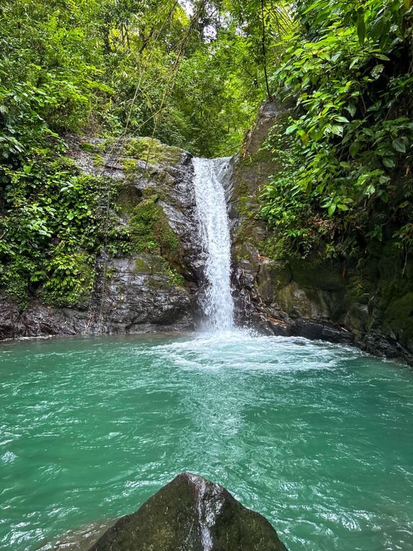 Uvita Waterfall is an easy ~5 minute drive away.