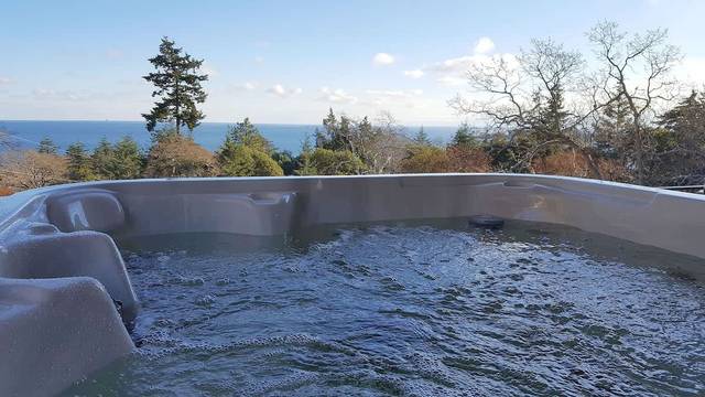 Arbutus Hill