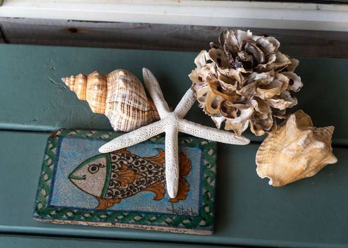 8V5viHARbsX19GoqS8736rZiTCgSd2HUSC1D5mwy