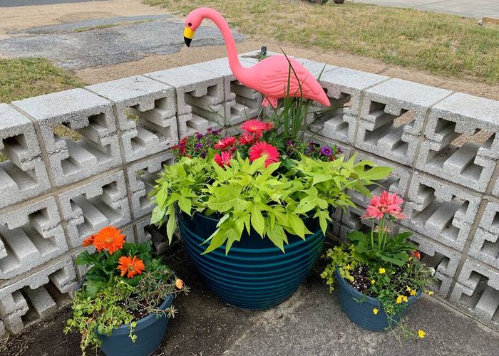 6RdY2CyODZ3fH5nFKqBITypYycidUT7uSXwtNcGW