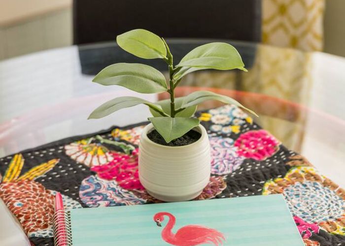 pHRwPMrO6nib3VmLslKbK2nC6C7e4O5EUXWO6gOy