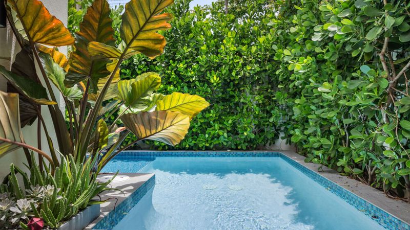 The Weekender | Garita