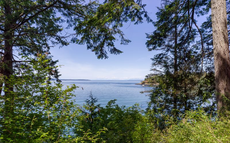 09ab4605 b78e 44f7 9bf4 4ec9857238d7 homerunner