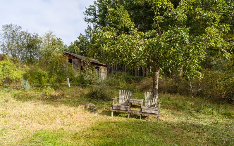 0c6e522e 5d80 429d ac77 4c9d87c29e78 homerunner