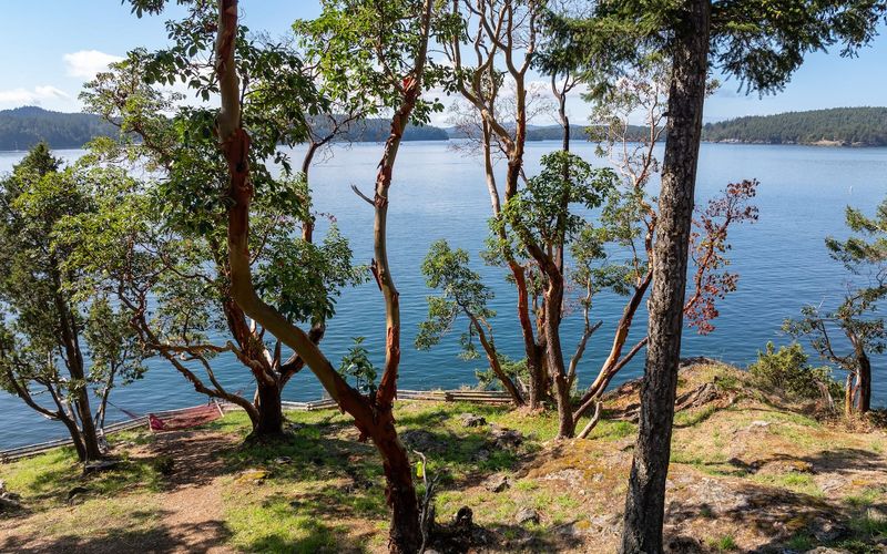 0cda1ba1 ae92 49b4 9dcc 32d4291fc599 homerunner