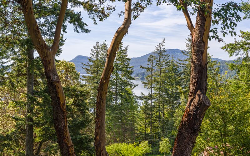 0f1e5692 6005 4a7f 8628 848cd44c7f3e homerunner