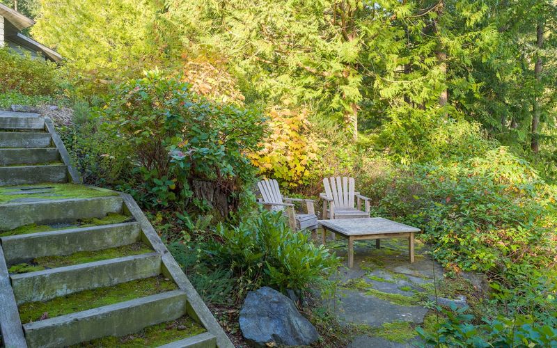 104011cd baaf 4259 a880 5cb27de23096 homerunner