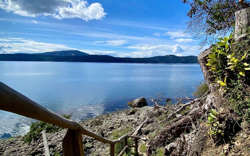 131bd65e 903c 4096 b32a cc0b61086f29 homerunner