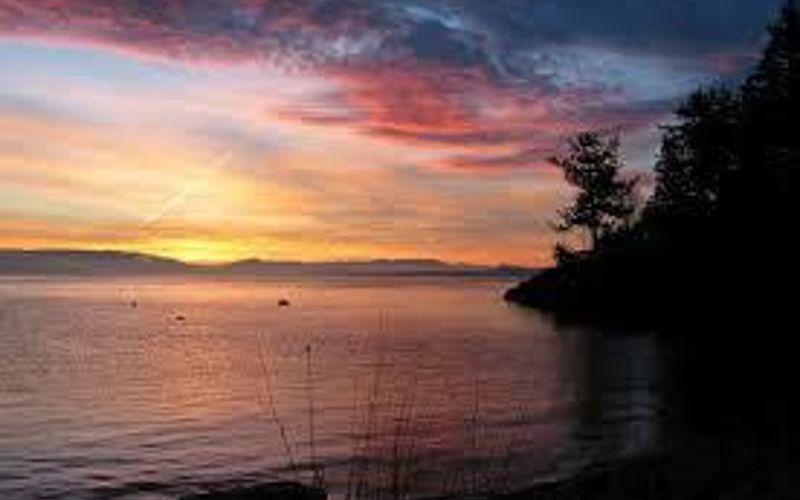 1c624eeb a811 4298 981f 5535bcfb6015 homerunner