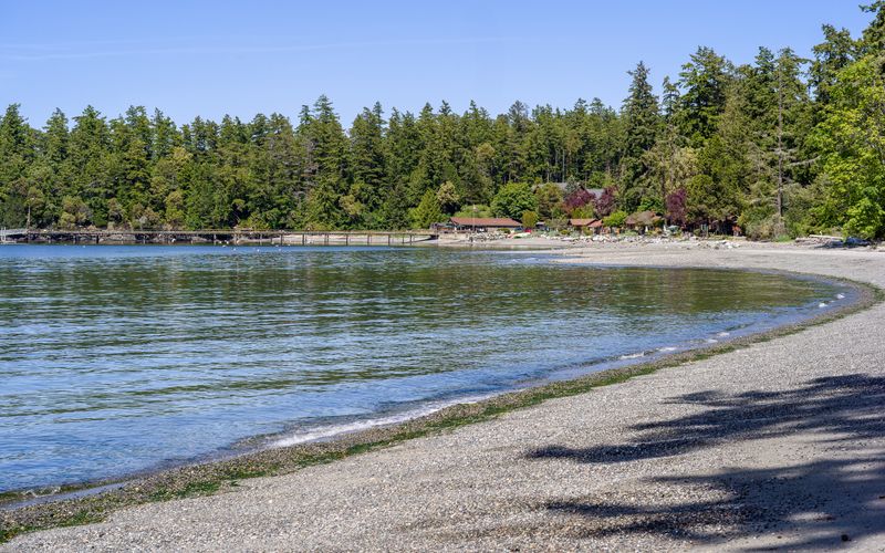 2148347c ef9a 451c adef 74d473a1ecd3 homerunner