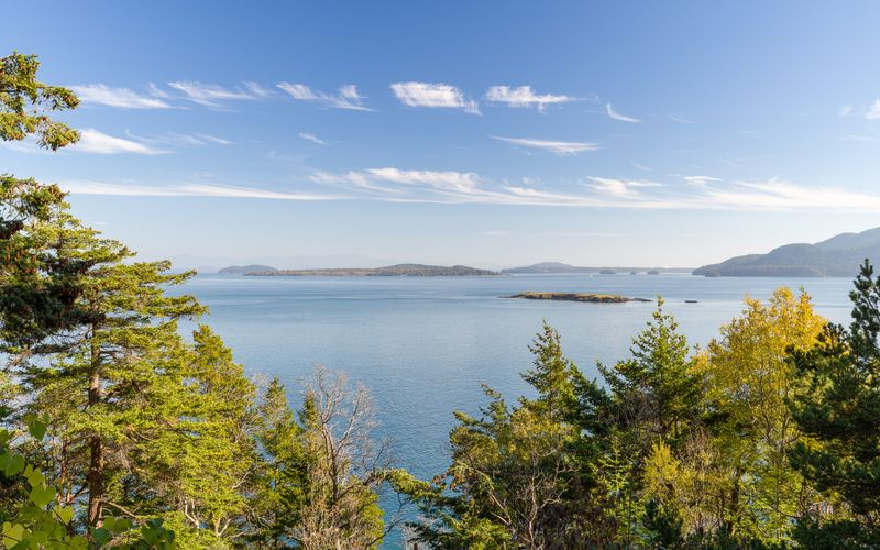 25455bb8 cd6b 4798 972f 8a5d2653e559 homerunner