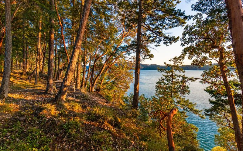 25f58ec3 b97a 4623 9bfc cec96b6cbe26 homerunner