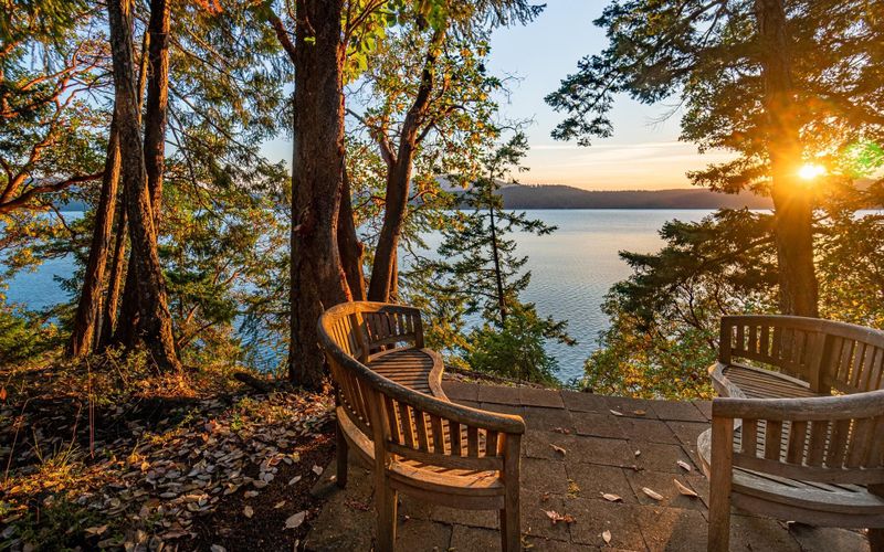 28b1e981 0cad 475a aa44 3b768f81b222 homerunner