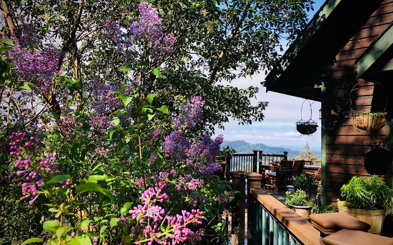 2da7a71b c8ed 4102 8de0 288bc1272782 homerunner