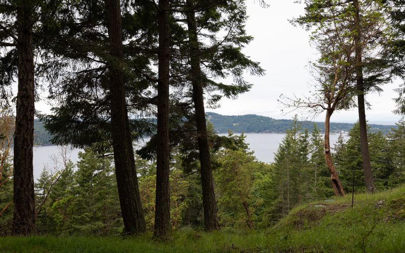 3054e28d 0948 445a bb8d a60002f9559a homerunner