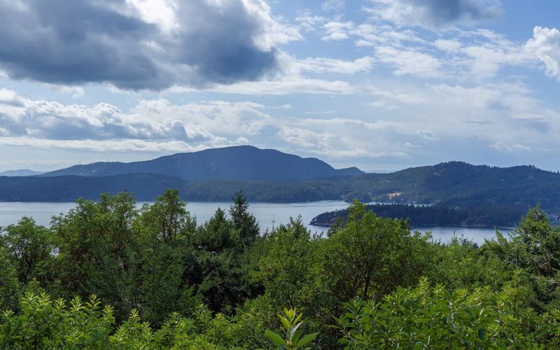 3179a147 f872 491b 81f9 b161bb530865 homerunner