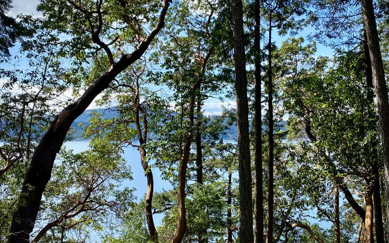 385f3bd8 c60c 491b a166 434a4270d21c homerunner