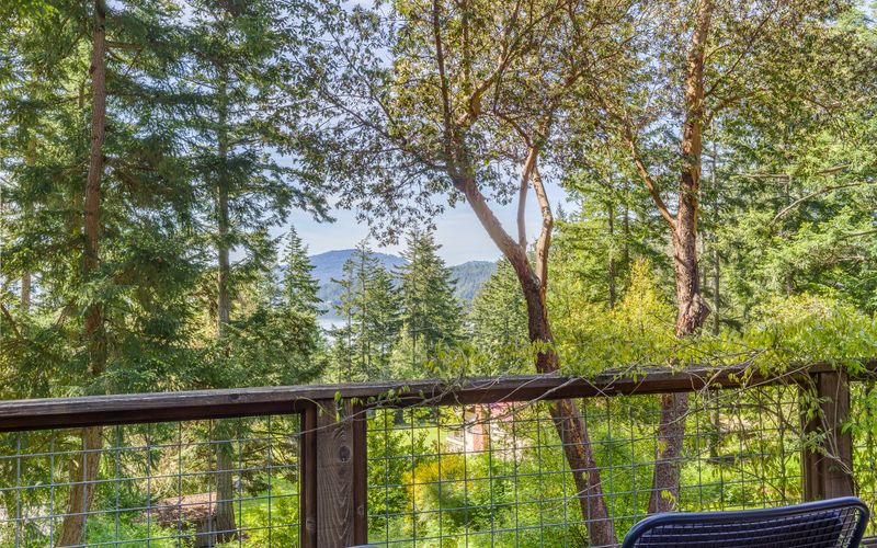 38fba555 c8b2 4f70 96da 8f82671b0c5f homerunner