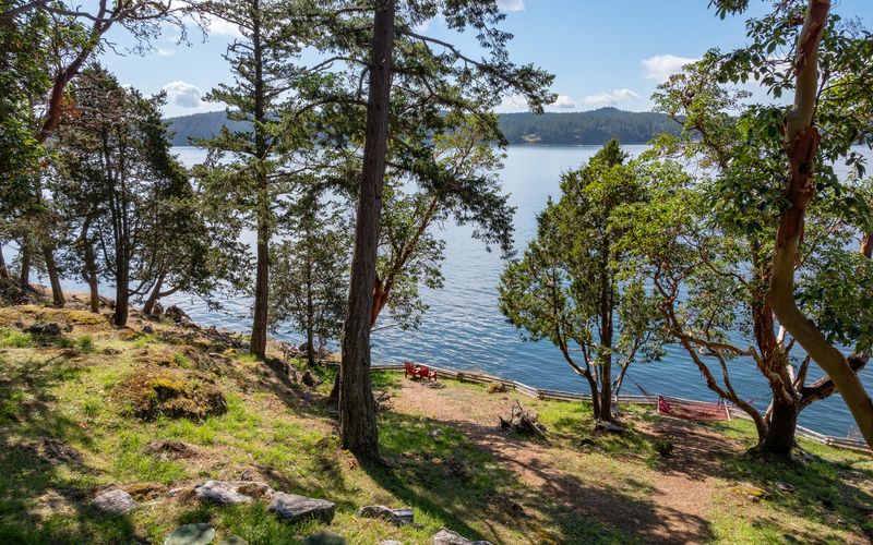 3a15047a 46cc 40e5 a79c de5d23330cd0 homerunner