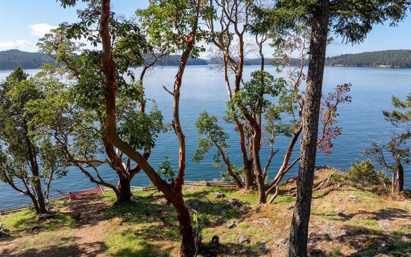 3ce902d3 6d8a 43cf 90ea b96193b33231 homerunner