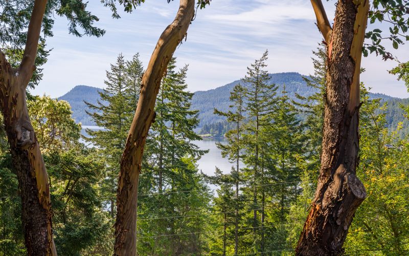 41985e44 3e1e 4345 b9e2 b85516a25d0a homerunner