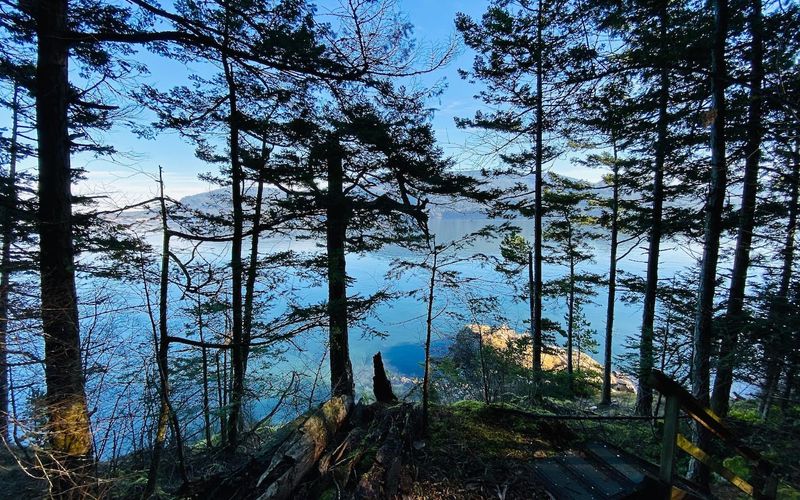 485be5a7 2763 4895 b08b bf1cd44d210c homerunner