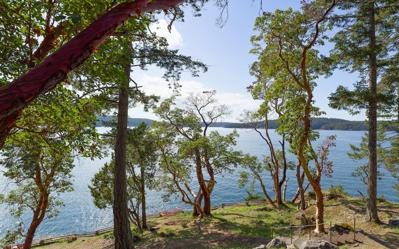 48dd1908 e435 419a 9e4c 6b6f4da1f1fa homerunner