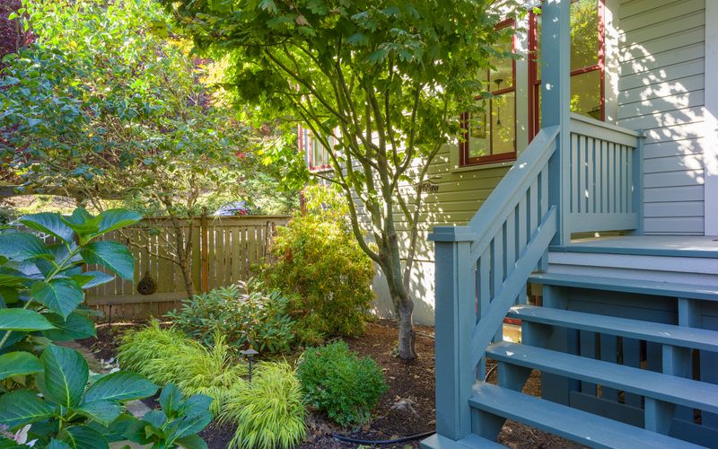 48df2a88 29d4 4808 923f 4fc6ee7953c1 homerunner