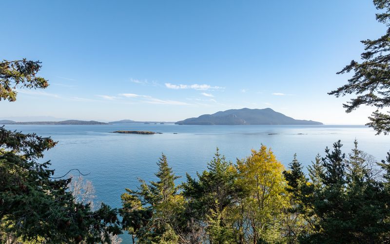 49838327 7f32 4b51 85d4 c218650f6c84 homerunner