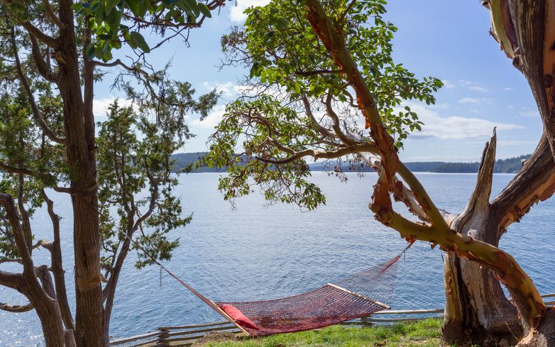 4c7801df a097 456e b1bf 1ea831710d48 homerunner