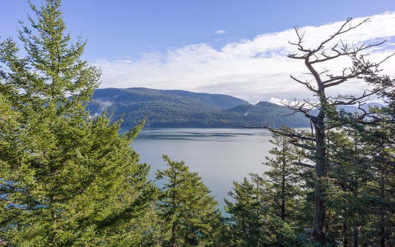 4f0659cc 03e3 4a8d 82cc 19f9f6cbf99b homerunner