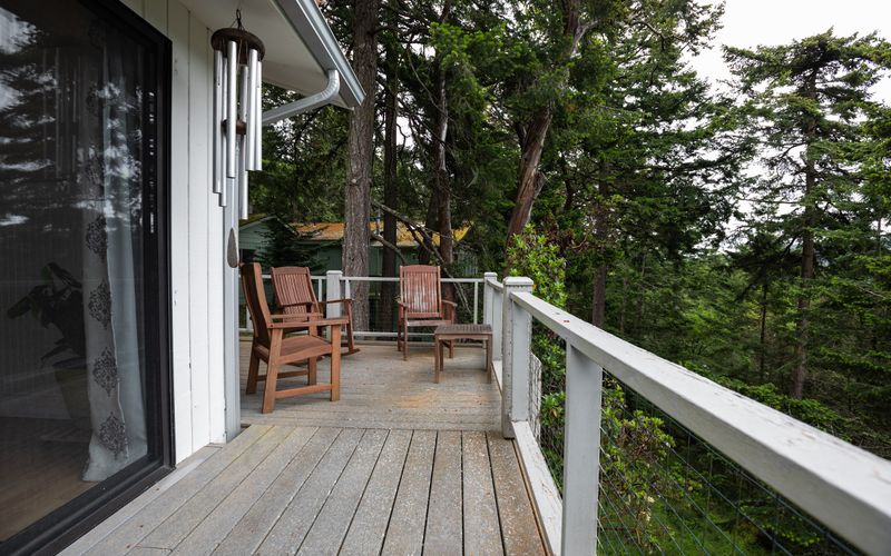 4f3580b6 5ec1 4e2e 8efb a040467d3712 homerunner