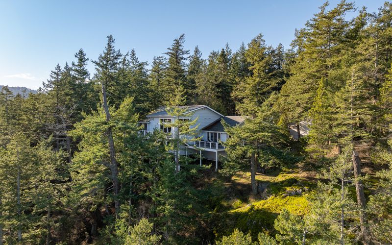 4f400229 819e 4e38 b650 07e4c011f1c9 homerunner