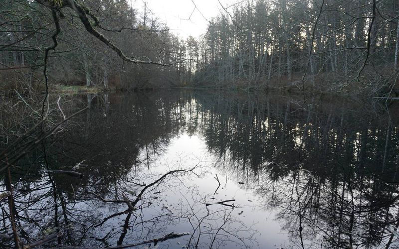 51b538f3 8ea4 42f0 b62a c40f002e9388 homerunner