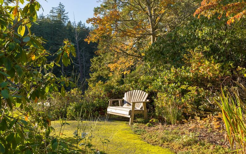 5374123d 33df 4f1b 869f cb6f9377d222 homerunner