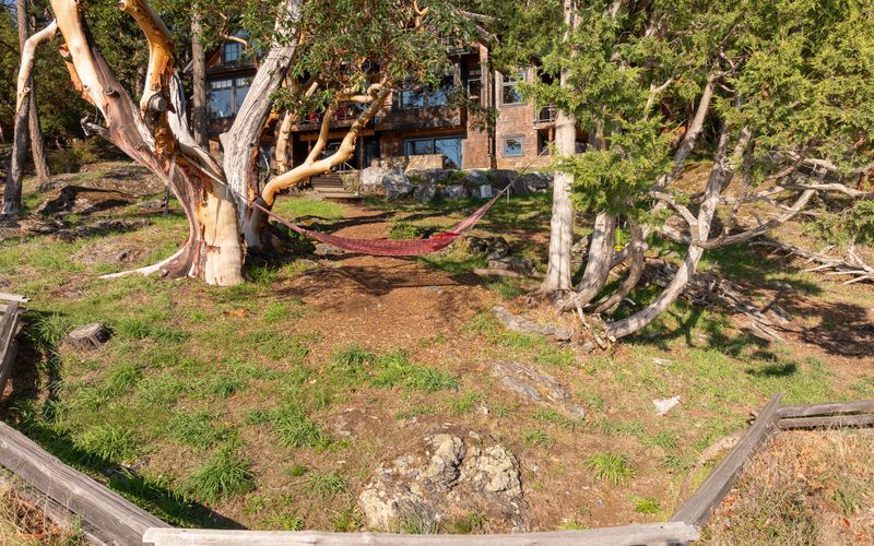 55bd30d4 0d43 4e4e 88b4 ac9e9e4e3aa9 homerunner