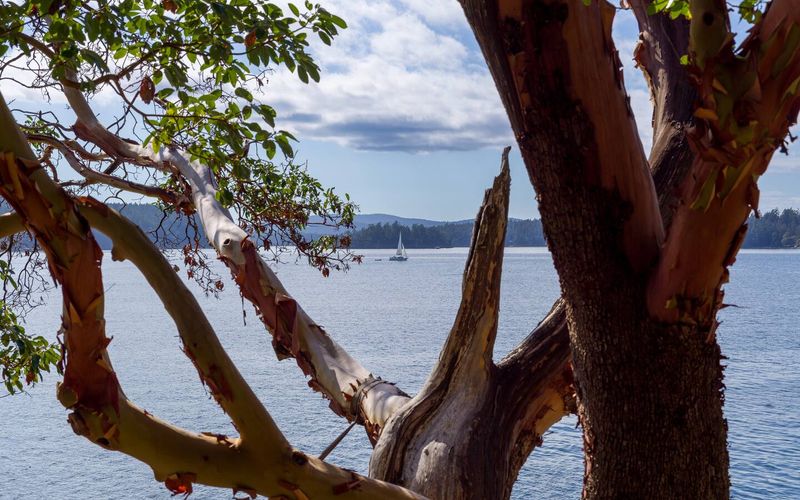 560aba59 3846 48dc ae04 a10f07c2629f homerunner