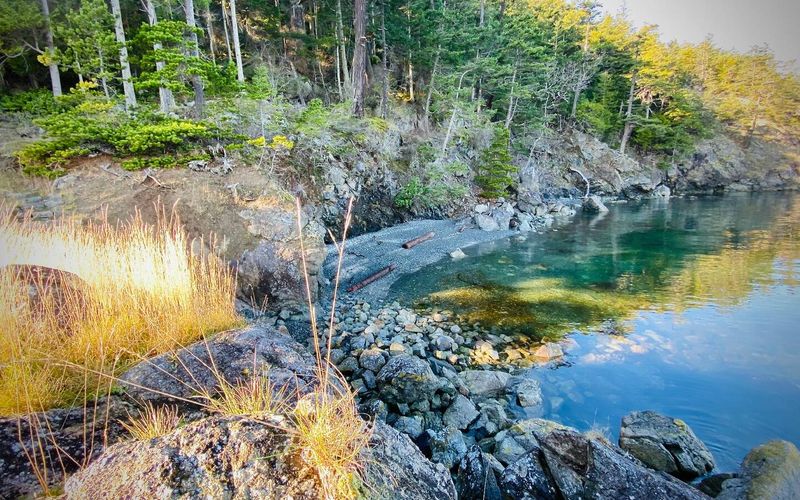 561c0f2d b84e 4299 8909 9fd6a856c1dc homerunner