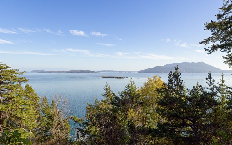 5852d1cb 815b 49fc b466 ea81f3bc168b homerunner