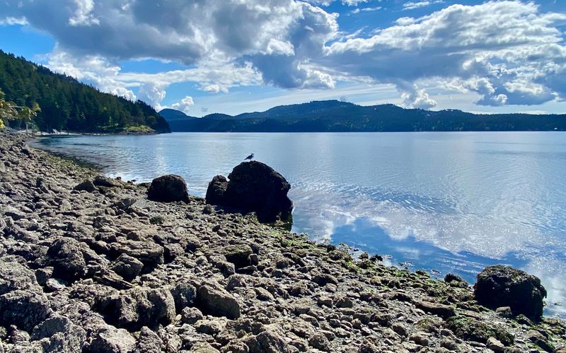 58df8aae f42b 4743 89a3 19483be5c7ad homerunner