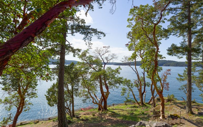 5a910e26 6924 4903 95ea 1d682022ddd3 homerunner